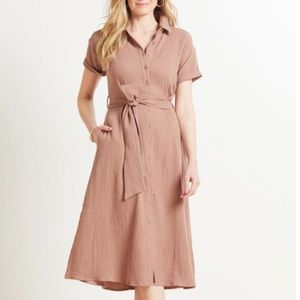 Evereve Hailey Gauze Button Down Dress